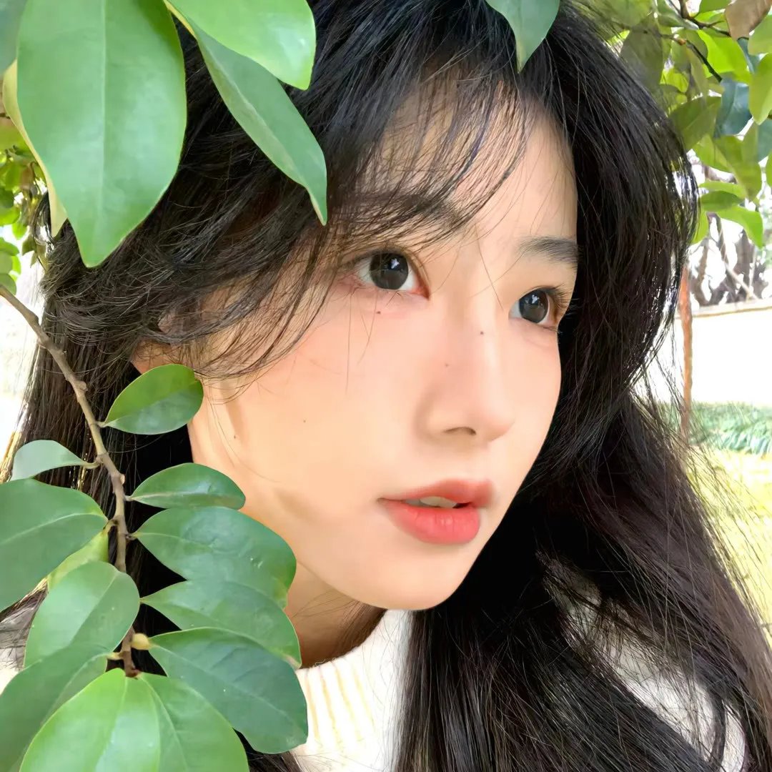 山里来了熊孩子
